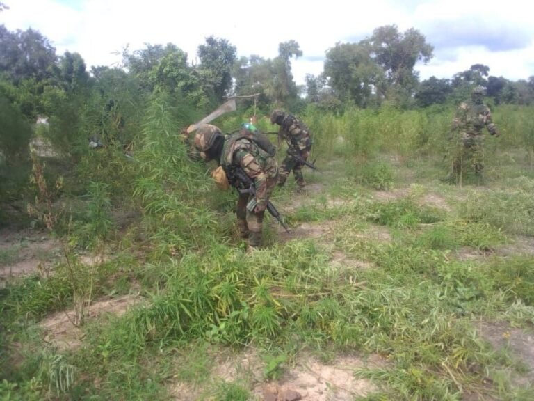 Senegalese-soldiers-768x576